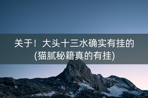 关于！大头十三水确实有挂的(猫腻秘籍真的有挂)