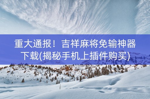 重大通报！吉祥麻将免输神器下载(揭秘手机上插件购买)