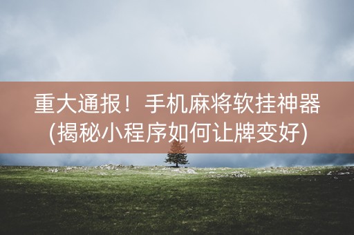 重大通报！手机麻将软挂神器(揭秘小程序如何让牌变好)