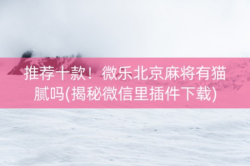 推荐十款！微乐北京麻将有猫腻吗(揭秘微信里插件下载)