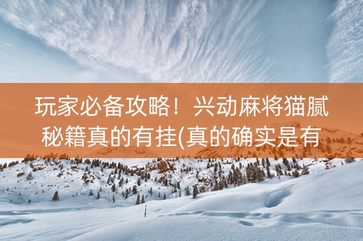 玩家必备攻略！兴动麻将猫腻秘籍真的有挂(真的确实是有挂)