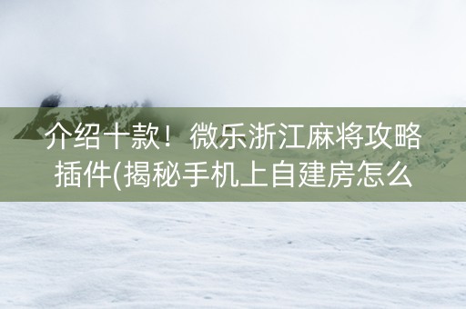 介绍十款！微乐浙江麻将攻略插件(揭秘手机上自建房怎么赢)