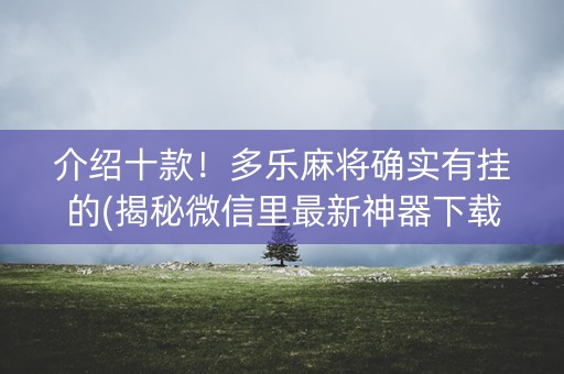 介绍十款！多乐麻将确实有挂的(揭秘微信里最新神器下载)