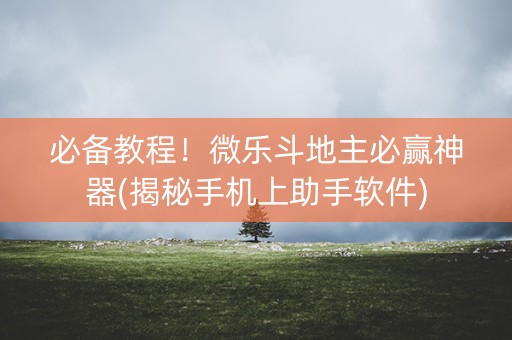 必备教程！微乐斗地主必赢神器(揭秘手机上助手软件)
