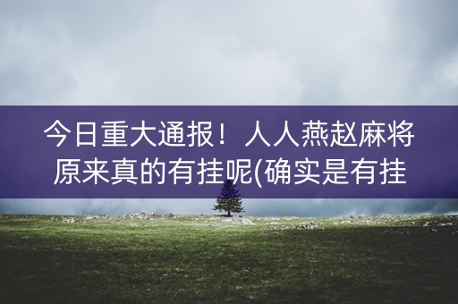 今日重大通报！人人燕赵麻将原来真的有挂呢(确实是有挂的)
