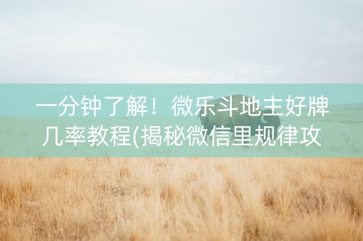 一分钟了解！微乐斗地主好牌几率教程(揭秘微信里规律攻略)