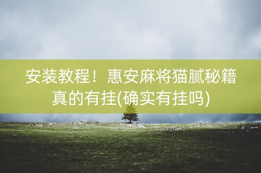 安装教程！惠安麻将猫腻秘籍真的有挂(确实有挂吗)