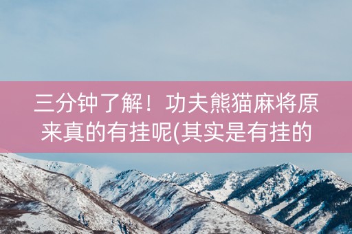 三分钟了解！功夫熊猫麻将原来真的有挂呢(其实是有挂的)