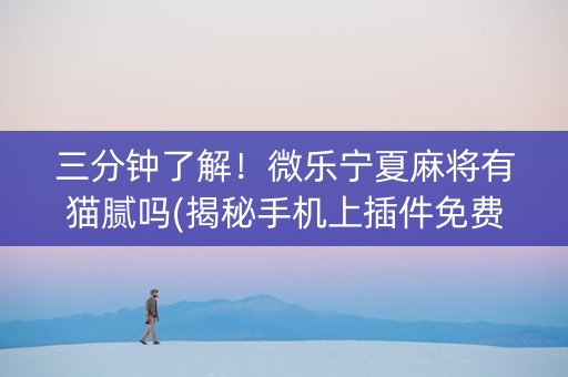 三分钟了解！微乐宁夏麻将有猫腻吗(揭秘手机上插件免费)