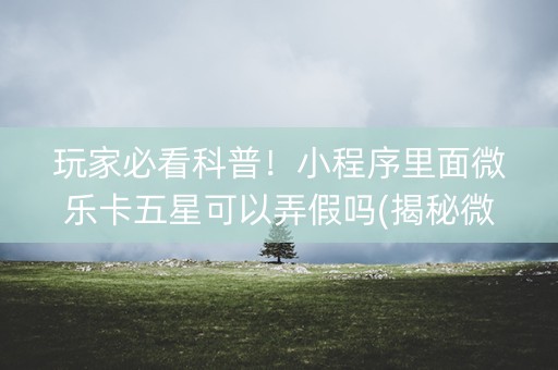 玩家必看科普！小程序里面微乐卡五星可以弄假吗(揭秘微信里攻略插件)