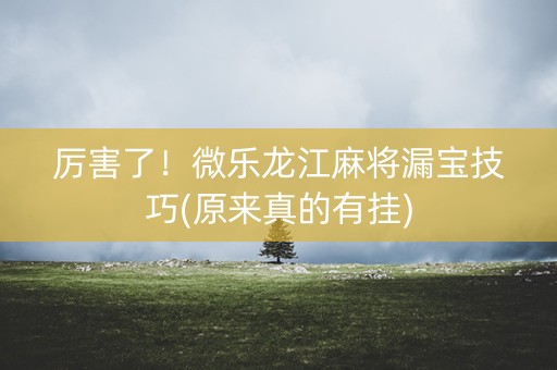厉害了！微乐龙江麻将漏宝技巧(原来真的有挂)