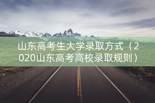 山东高考生大学录取方式（2020山东高考高校录取规则）