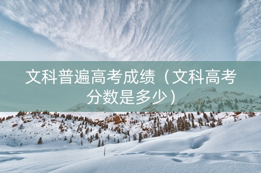 文科普遍高考成绩（文科高考分数是多少）