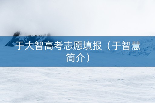 于大智高考志愿填报（于智慧简介）