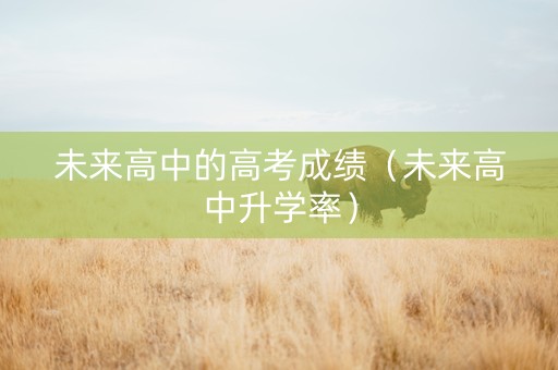 未来高中的高考成绩（未来高中升学率）