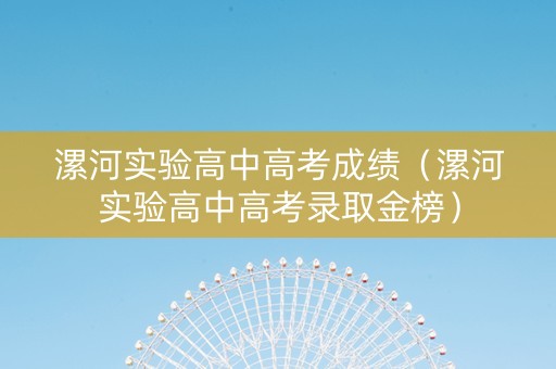 漯河实验高中高考成绩（漯河实验高中高考录取金榜）