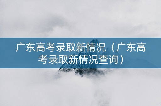 广东高考录取新情况（广东高考录取新情况查询）