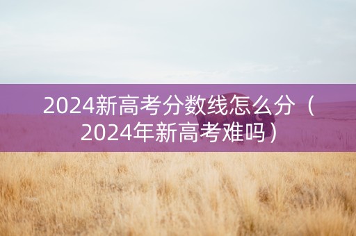 2024新高考分数线怎么分（2024年新高考难吗）