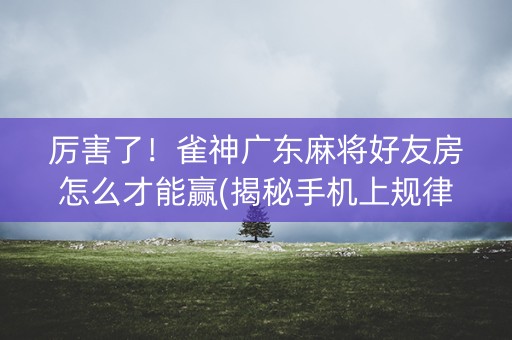 厉害了！雀神广东麻将好友房怎么才能赢(揭秘手机上规律攻略)