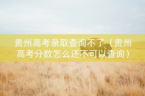 贵州高考录取查询不了（贵州高考分数怎么还不可以查询）
