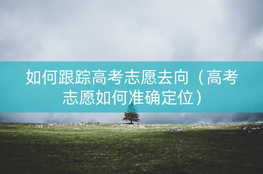 如何跟踪高考志愿去向（高考志愿如何准确定位）