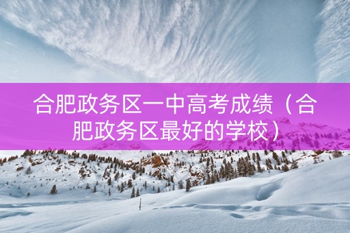 合肥政务区一中高考成绩（合肥政务区最好的学校）