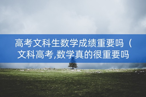 高考文科生数学成绩重要吗（文科高考,数学真的很重要吗?）