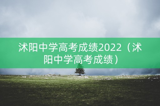沭阳中学高考成绩2022（沭阳中学高考成绩）