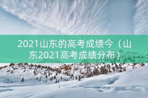 2021山东的高考成绩今（山东2021高考成绩分布）