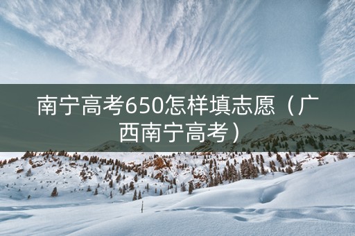 南宁高考650怎样填志愿（广西南宁高考）
