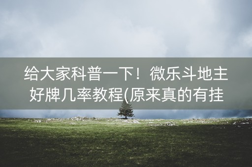 给大家科普一下！微乐斗地主好牌几率教程(原来真的有挂呢)