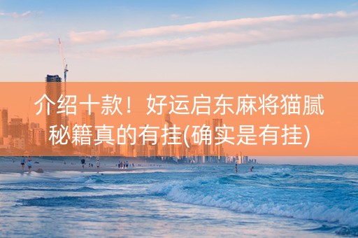 介绍十款！好运启东麻将猫腻秘籍真的有挂(确实是有挂)