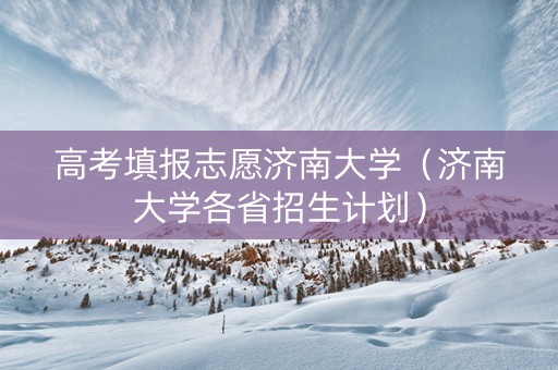 高考填报志愿济南大学（济南大学各省招生计划）