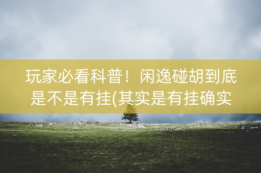 玩家必看科普！闲逸碰胡到底是不是有挂(其实是有挂确实有挂)