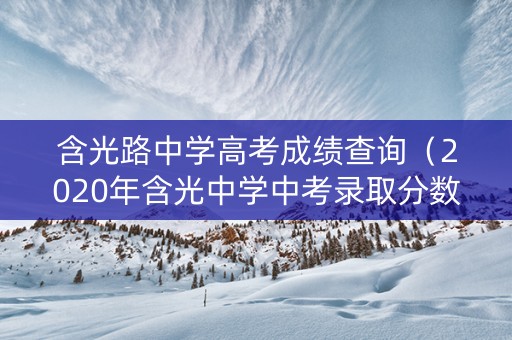 含光路中学高考成绩查询（2020年含光中学中考录取分数线是多少?）