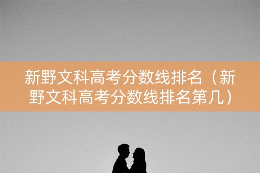 新野文科高考分数线排名（新野文科高考分数线排名第几）