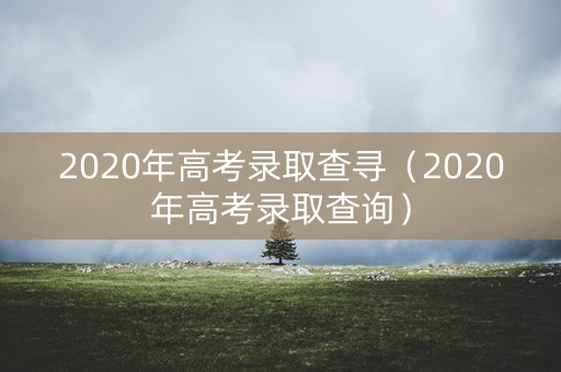 2020年高考录取查寻（2020年高考录取查询）