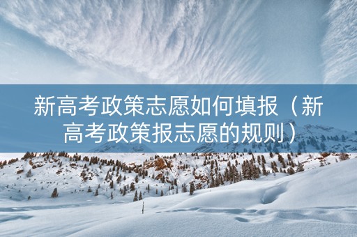 新高考政策志愿如何填报（新高考政策报志愿的规则）