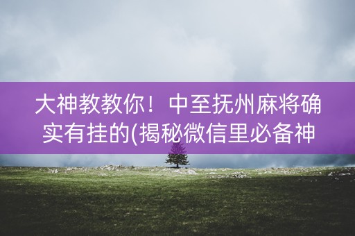 大神教教你！中至抚州麻将确实有挂的(揭秘微信里必备神器)