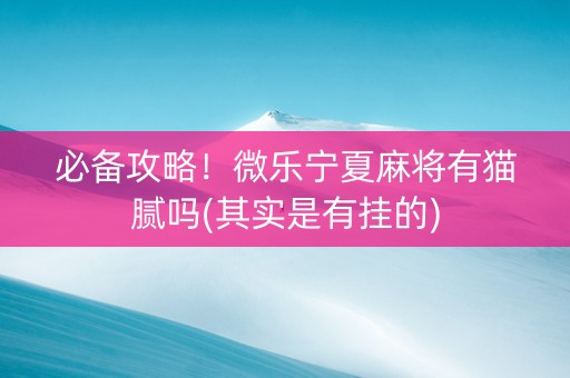 必备攻略！微乐宁夏麻将有猫腻吗(其实是有挂的)