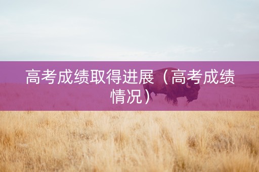 高考成绩取得进展（高考成绩情况）