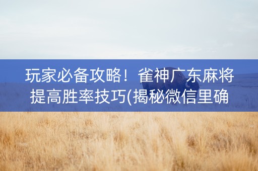 玩家必备攻略！雀神广东麻将提高胜率技巧(揭秘微信里确实有猫腻)