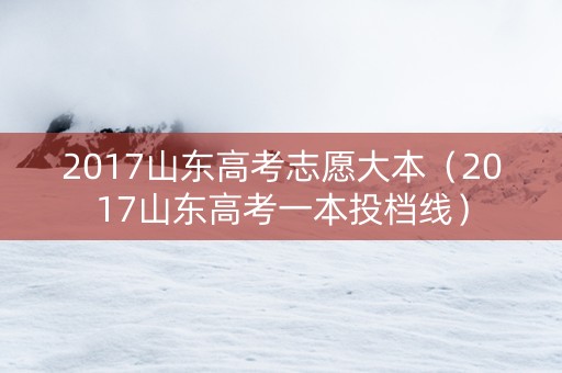 2017山东高考志愿大本（2017山东高考一本投档线）