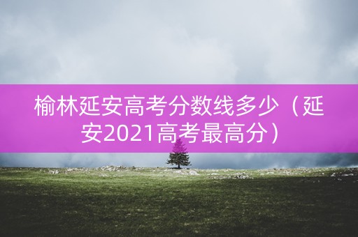 榆林延安高考分数线多少（延安2021高考最高分）