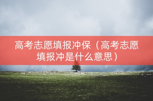 高考志愿填报冲保（高考志愿填报冲是什么意思）