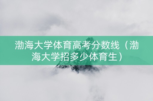 渤海大学体育高考分数线（渤海大学招多少体育生）