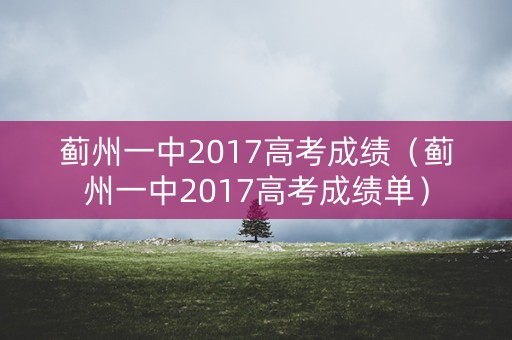 蓟州一中2017高考成绩（蓟州一中2017高考成绩单）