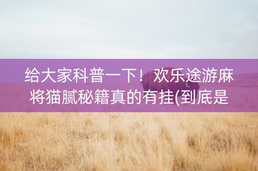 给大家科普一下！欢乐途游麻将猫腻秘籍真的有挂(到底是不是有挂)