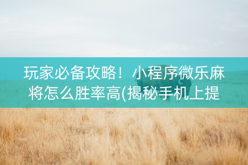 玩家必备攻略！小程序微乐麻将怎么胜率高(揭秘手机上提高胜率)