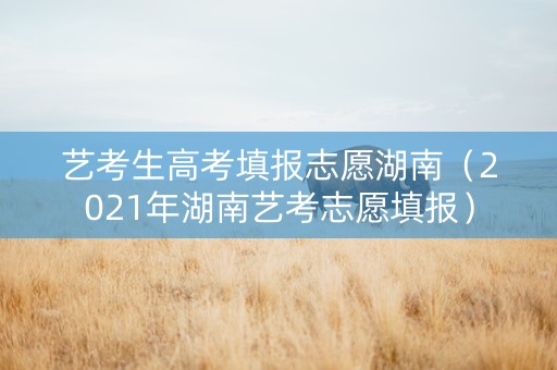 艺考生高考填报志愿湖南（2021年湖南艺考志愿填报）